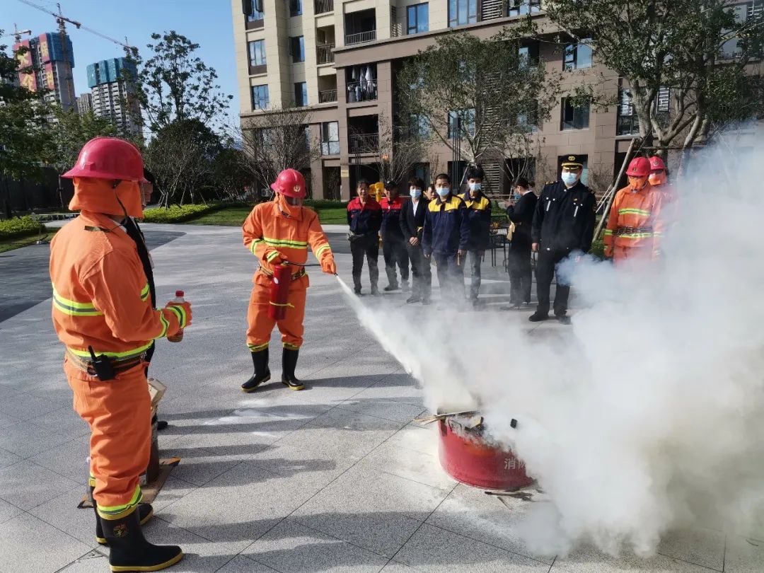 1667973098188689.jpg 10.jpg